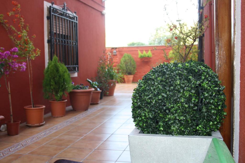 Guest house Cervantes *